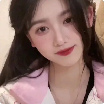 完美伴侣